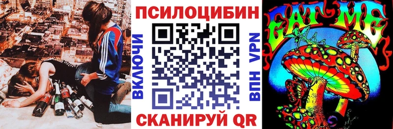 Псилоцибиновые грибы прущие грибы  хочу   Терек 